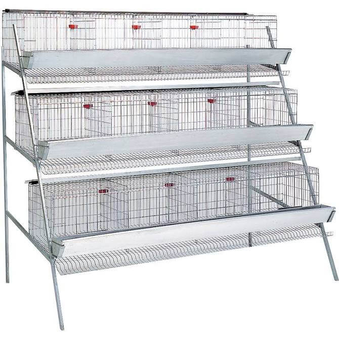 Gabbia a più livelli per pollame, struttura metallica.
