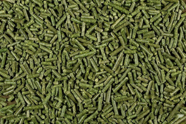Pellet di erba medica disidratata con alto contenuto di fibra (da 4 o 6 mm) in sacchi da 25 kg