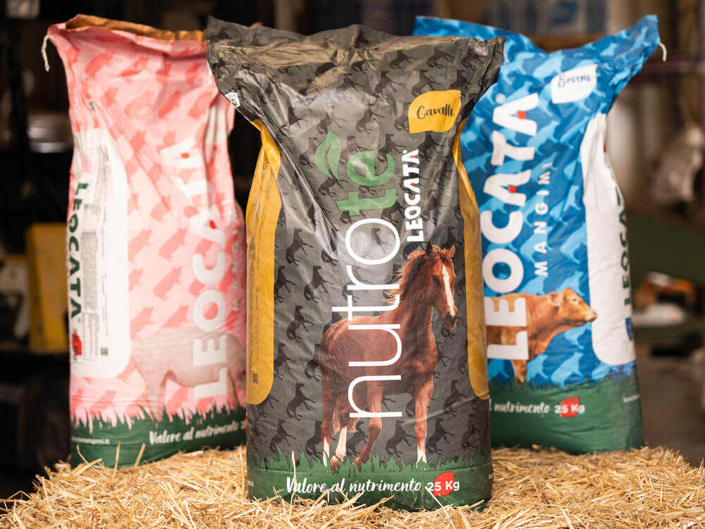 agroalimentare rubino cibo per animali - Agroalimentare Rubino