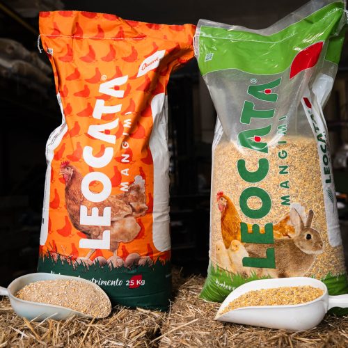 Chi siamo - Agroalimentare Rubino agroalimentare rubino - cibo per conigli e galline