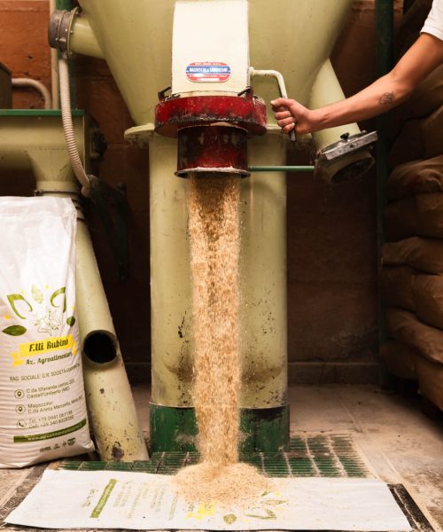 Home - Agroalimentare Rubino agroalimentare rubino - macchinario azienda